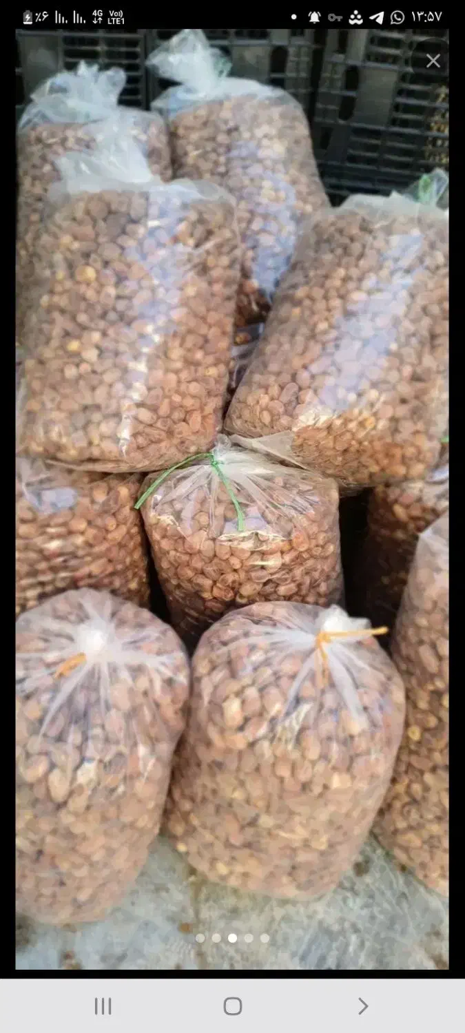 زاهدی رسید|خوردنی و آشامیدنی|هندمینی, |دیوار