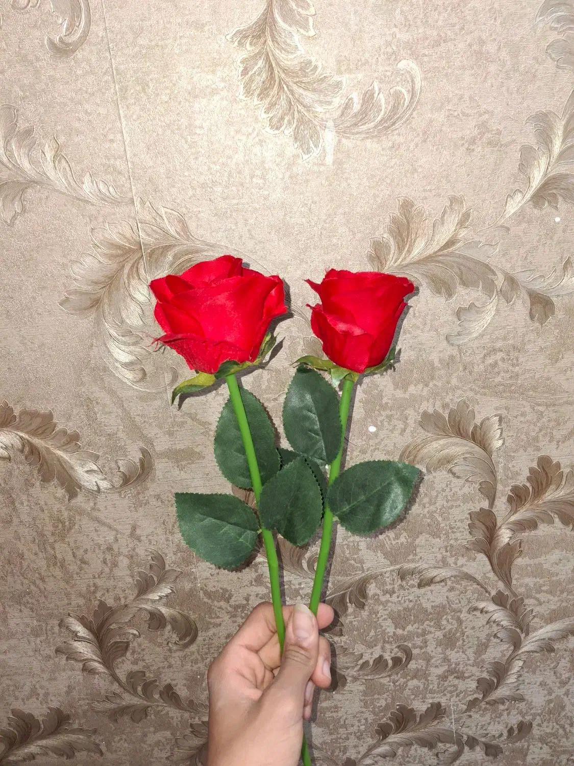 گل رز مصنوعی|گل مصنوعی|قرچک, مهدیه|دیوار