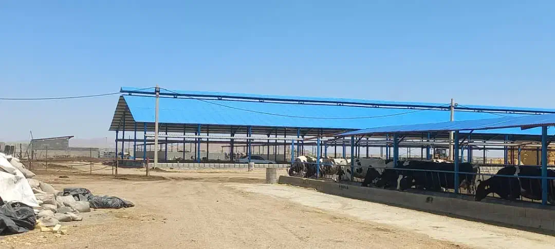 دام طیور از تولید تا اجرا ورقهای شیروانی پی وی سی|خدمات پیشه و مهارت|مشهد, سازمان آب|دیوار