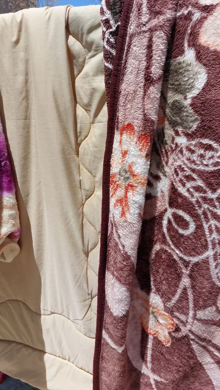 شستشو با ما|خدمات نظافت|زابل, |دیوار