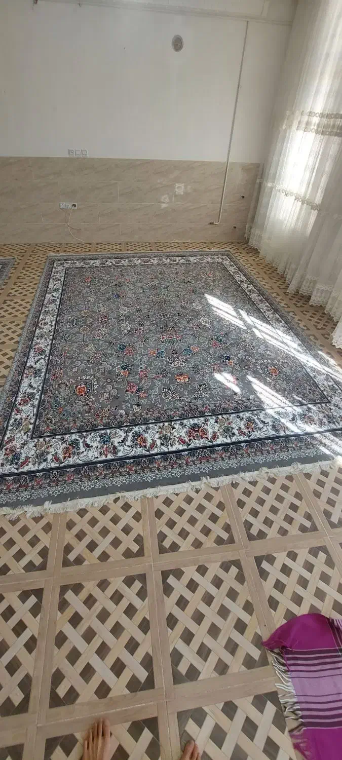 دو جفت قالی|فرش|سیرجان, |دیوار