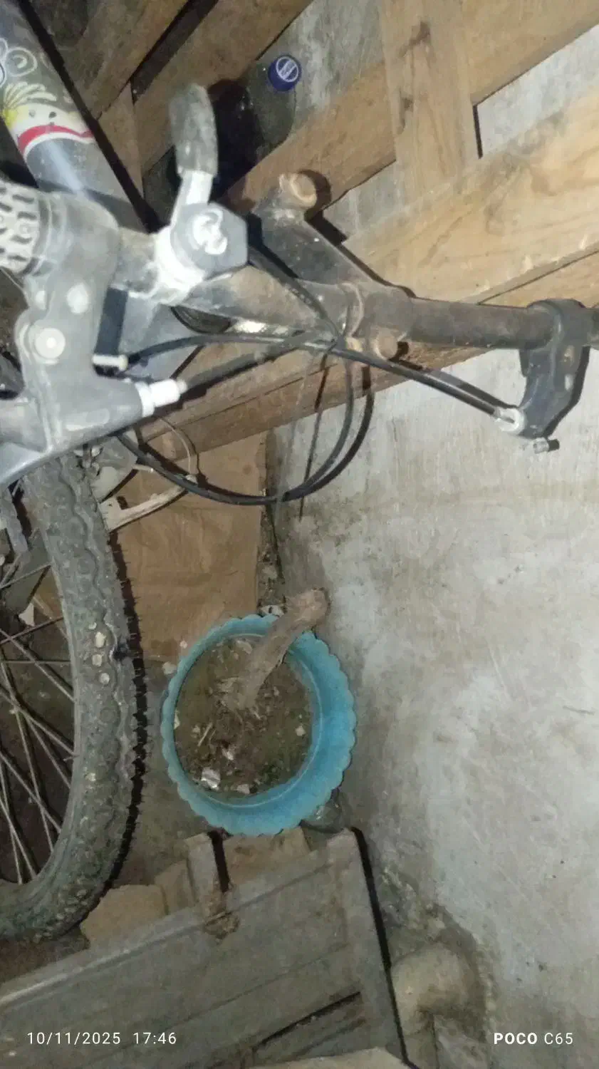 دوچرخه ‌24..و20..|دوچرخه، اسکیت، اسکوتر|گرگان, |دیوار