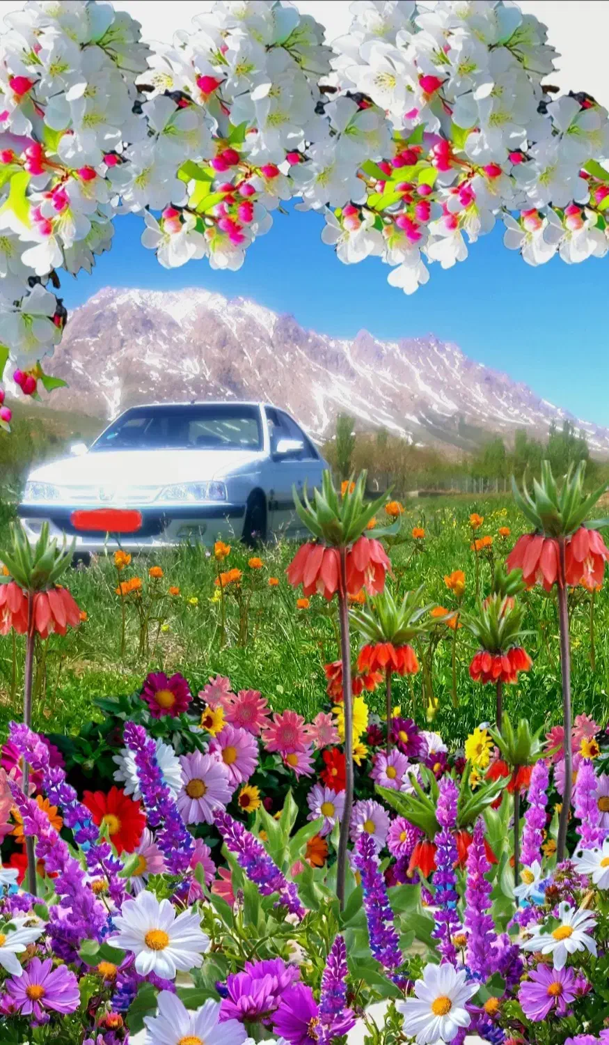 فروش خودروی پارس دوگانه دستی|خودرو سواری و وانت|فریدونشهر, |دیوار