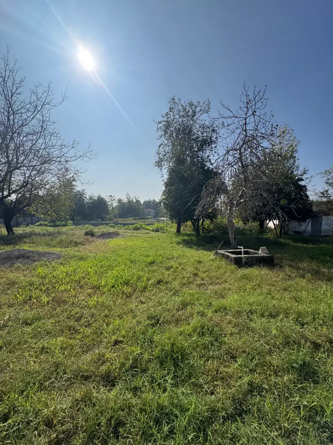 310متر‌زمین سند تک برگ دارد/پروانه ساختمانی دارد|فروش زمین و ملک کلنگی|رضوانشهر, |دیوار