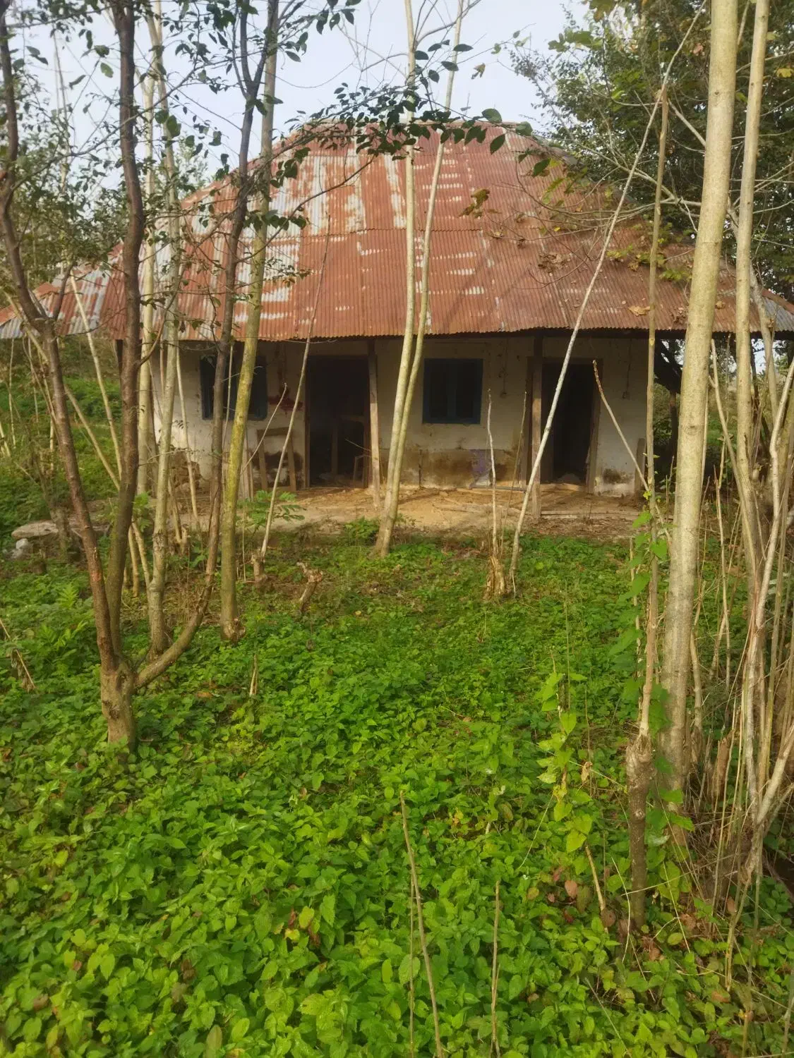 600متر خانه محوطه کلنگی 35متر بر کوچه سند منگوله|فروش زمین و ملک کلنگی|احمدسرگوراب, |دیوار