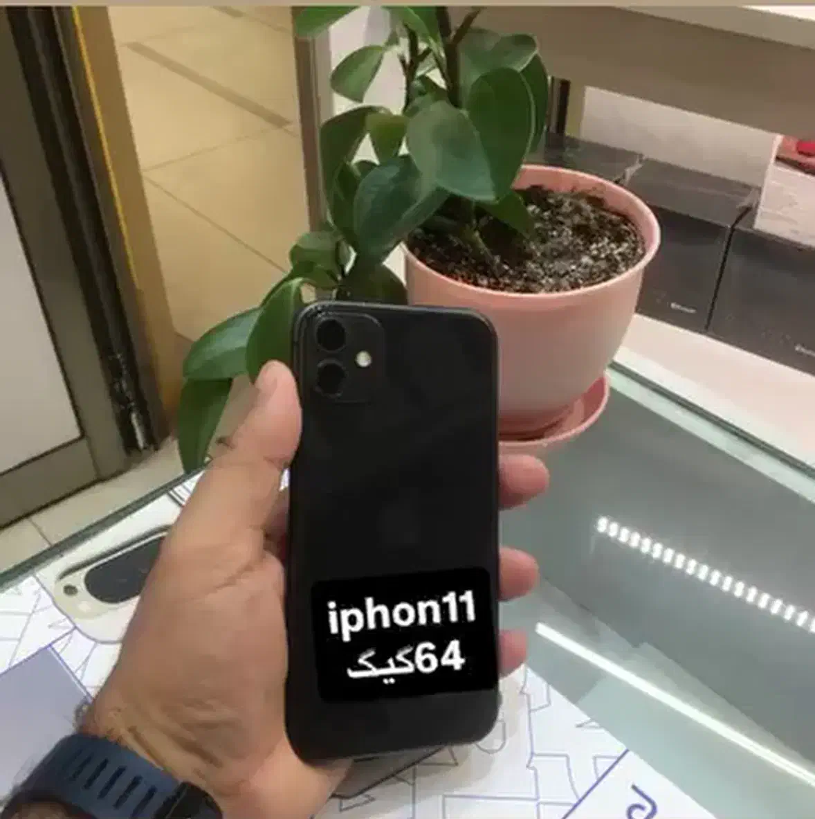 آیفون ۱۱ پک اصلی|موبایل|تبریز, |دیوار