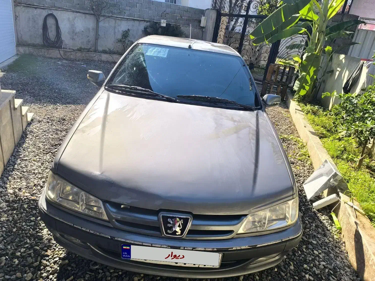 پژو پارس دوگانه شرکت|خودرو سواری و وانت|رویان, |دیوار