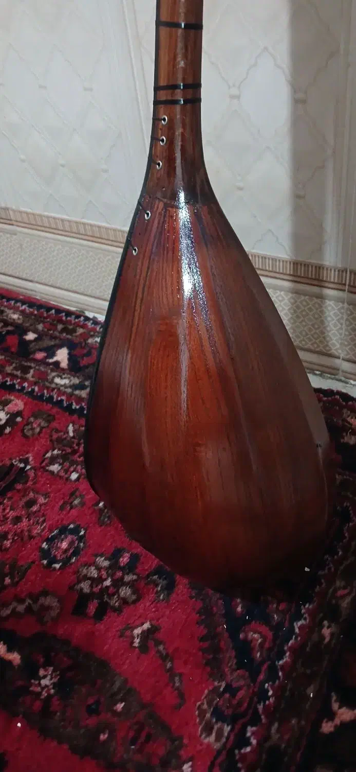 ساز ۹تارازربایجانی|سازهای سنتی|رباط‌کریم, نصیرشهر|دیوار