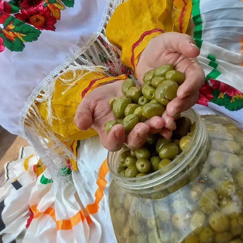 زیتون   شکسته      طارم  اولیا|خوردنی و آشامیدنی|محمدیه-قزوین, |دیوار