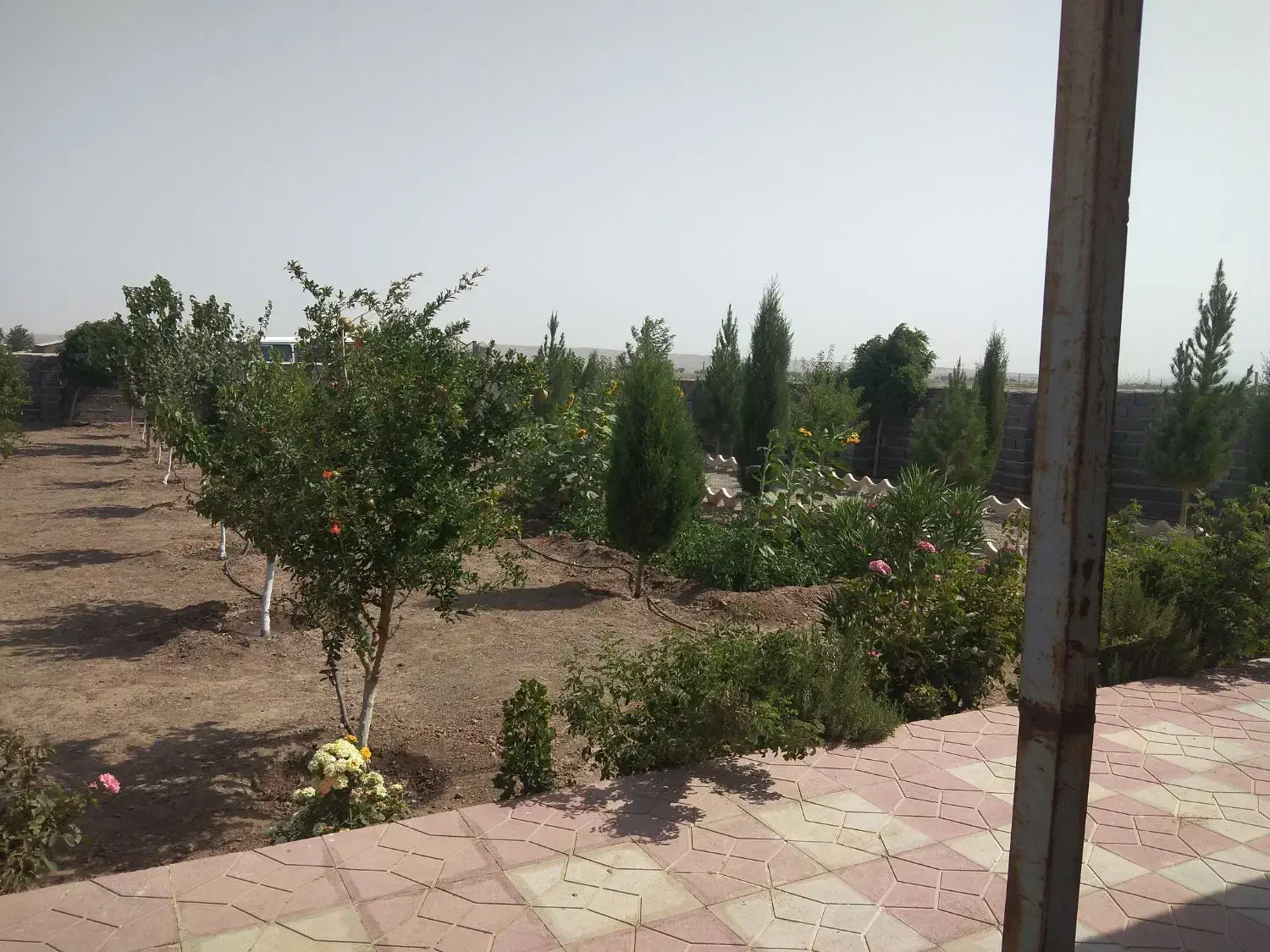 باغ ویلا ۱۱۰۰ متری سند تک برگ|فروش خانه و ویلا|محمدشهر, عباس آباد|دیوار