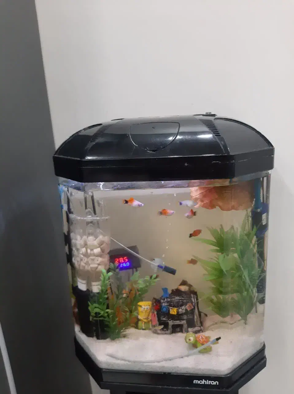آکواریوم ماهیران مدل MB1104|ماهی|همدان, |دیوار