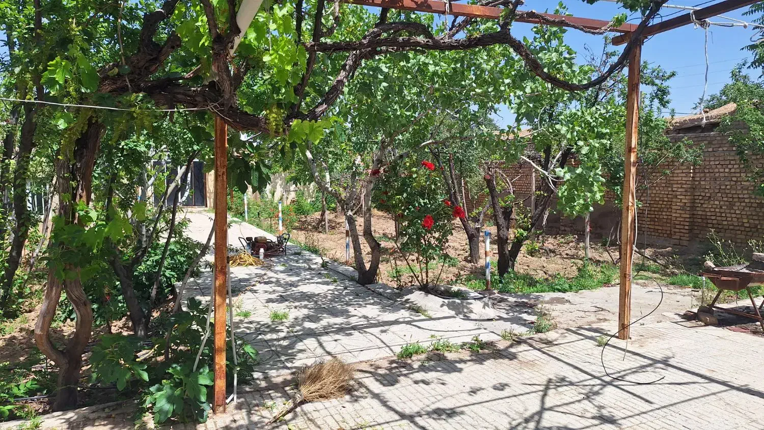 باغ ویلای زیبا روستای ولی آباد|فروش خانه و ویلا|بوئین زهرا, |دیوار