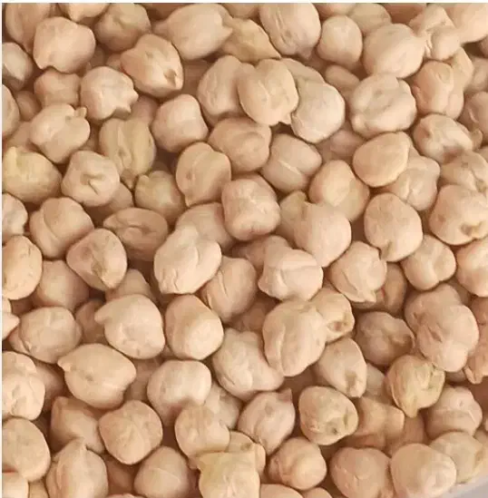 نخود بهاره فروشی|عمدهفروشی|اسلامآباد غرب, |دیوار