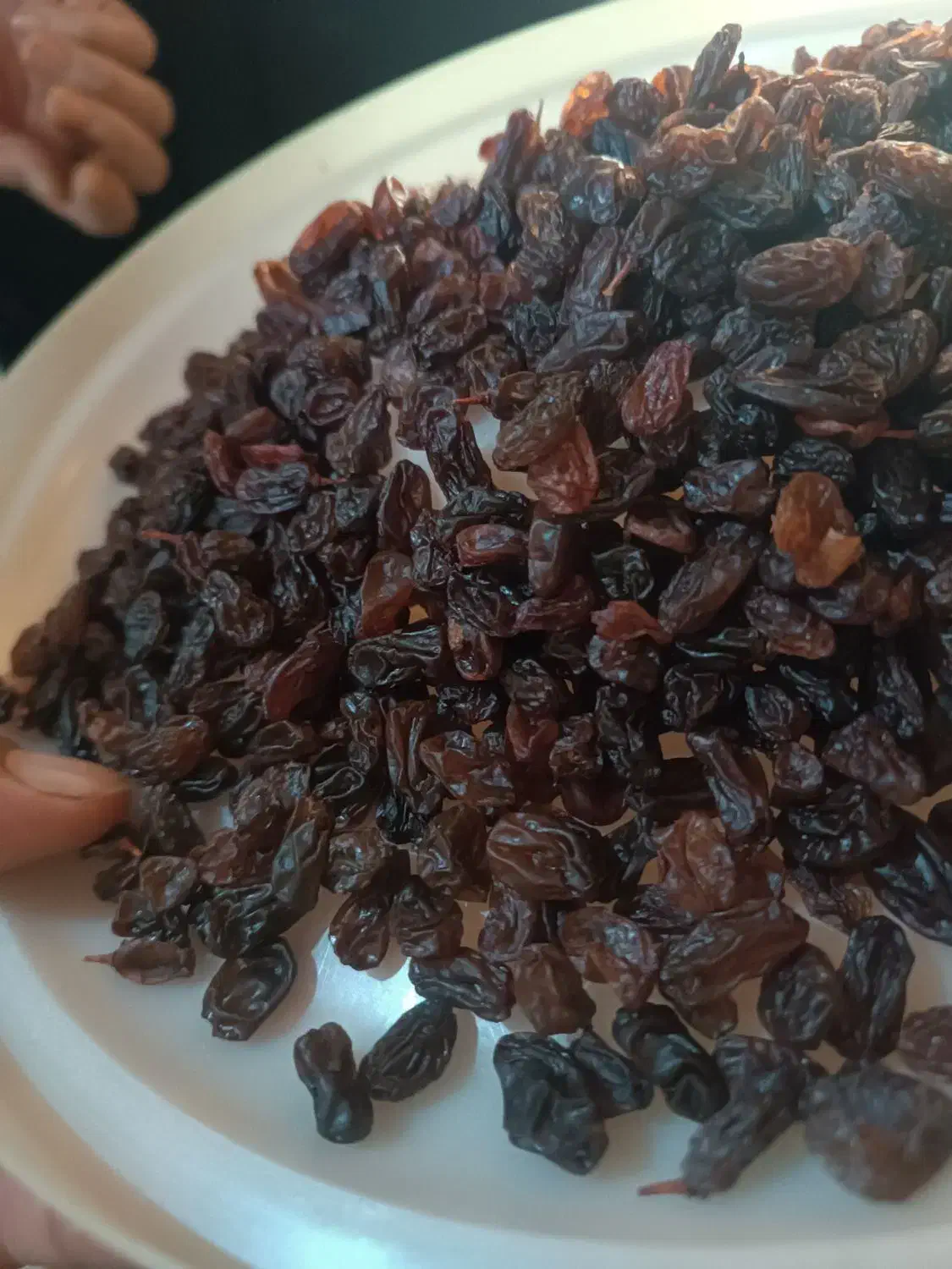 کشمش بی دانه|خوردنی و آشامیدنی|نوشین شهر, |دیوار