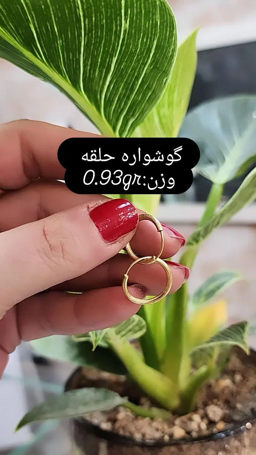 دنبال سرمایه گذاری هستی|جواهرات|تبریز, |دیوار