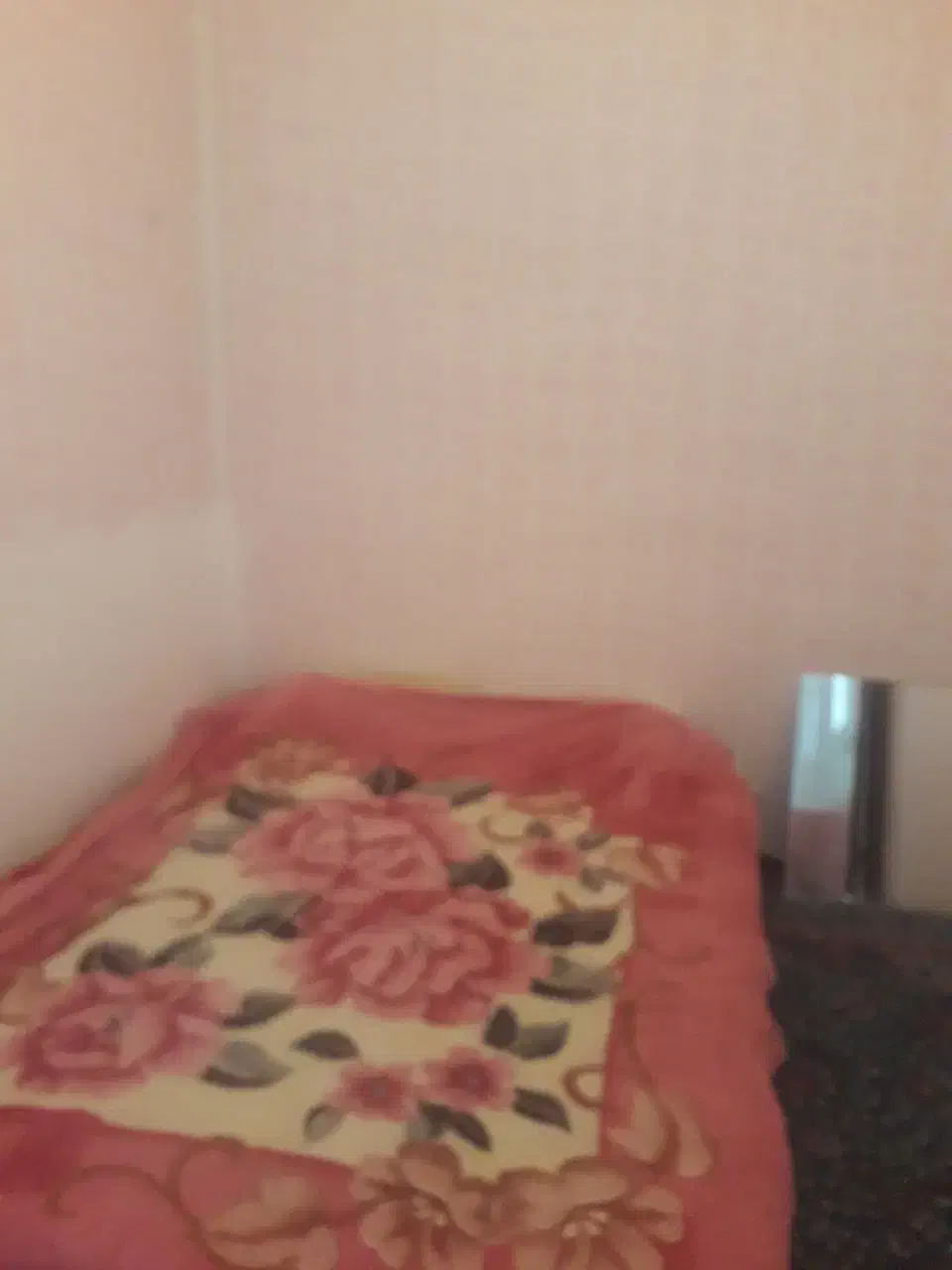 منزل مبله مناسب خانواده و مجرد|اجارهٔ کوتاهمدت آپارتمان و سوئیت|شیراز, شهرک کوشکک|دیوار