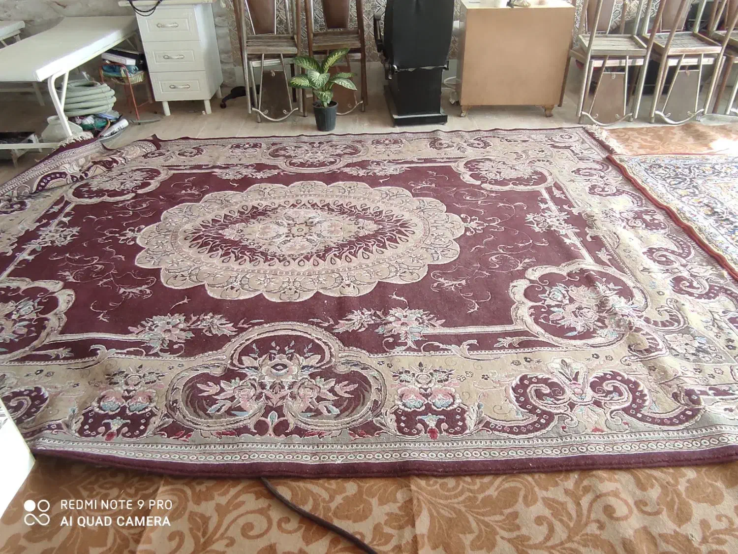 سیایید سالمات او کلش نظیفات|فرش|سوسنگرد, |دیوار