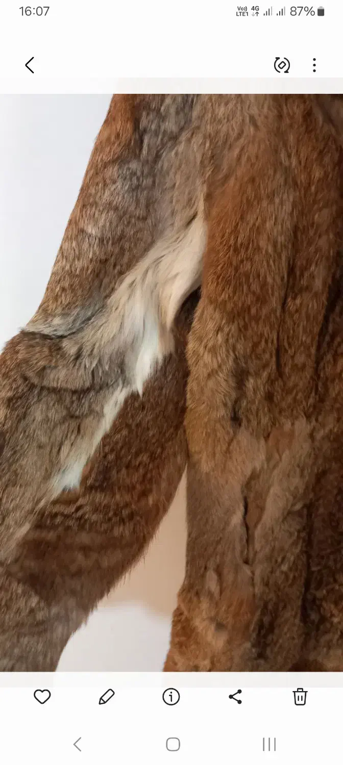 پالتوی پ.وست|لباس|ارومیه, |دیوار