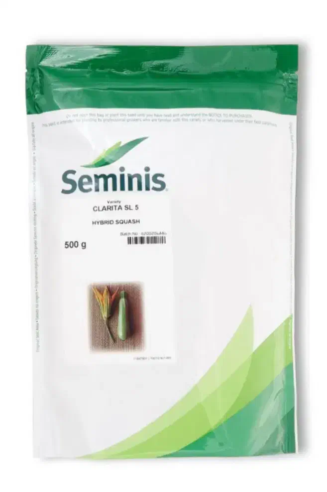 بذر کدو تک گل|گل و گیاه طبیعی|عنبرآباد, |دیوار