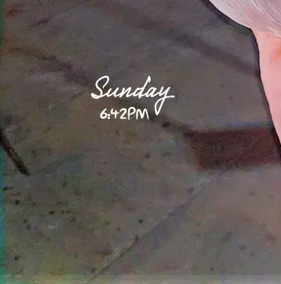 عروس هلندی آهویی سخنگو|پرنده|گرگان, |دیوار