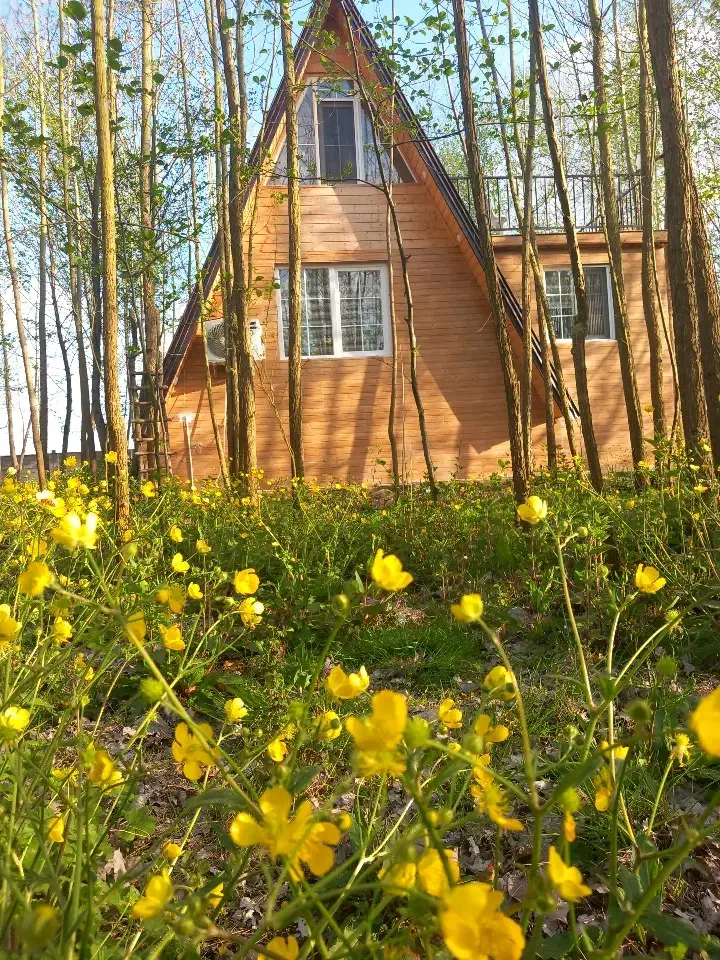 اجاره ویلا سوئیسی|اجارهٔ کوتاهمدت ویلا و باغ|طاهرگوراب, |دیوار