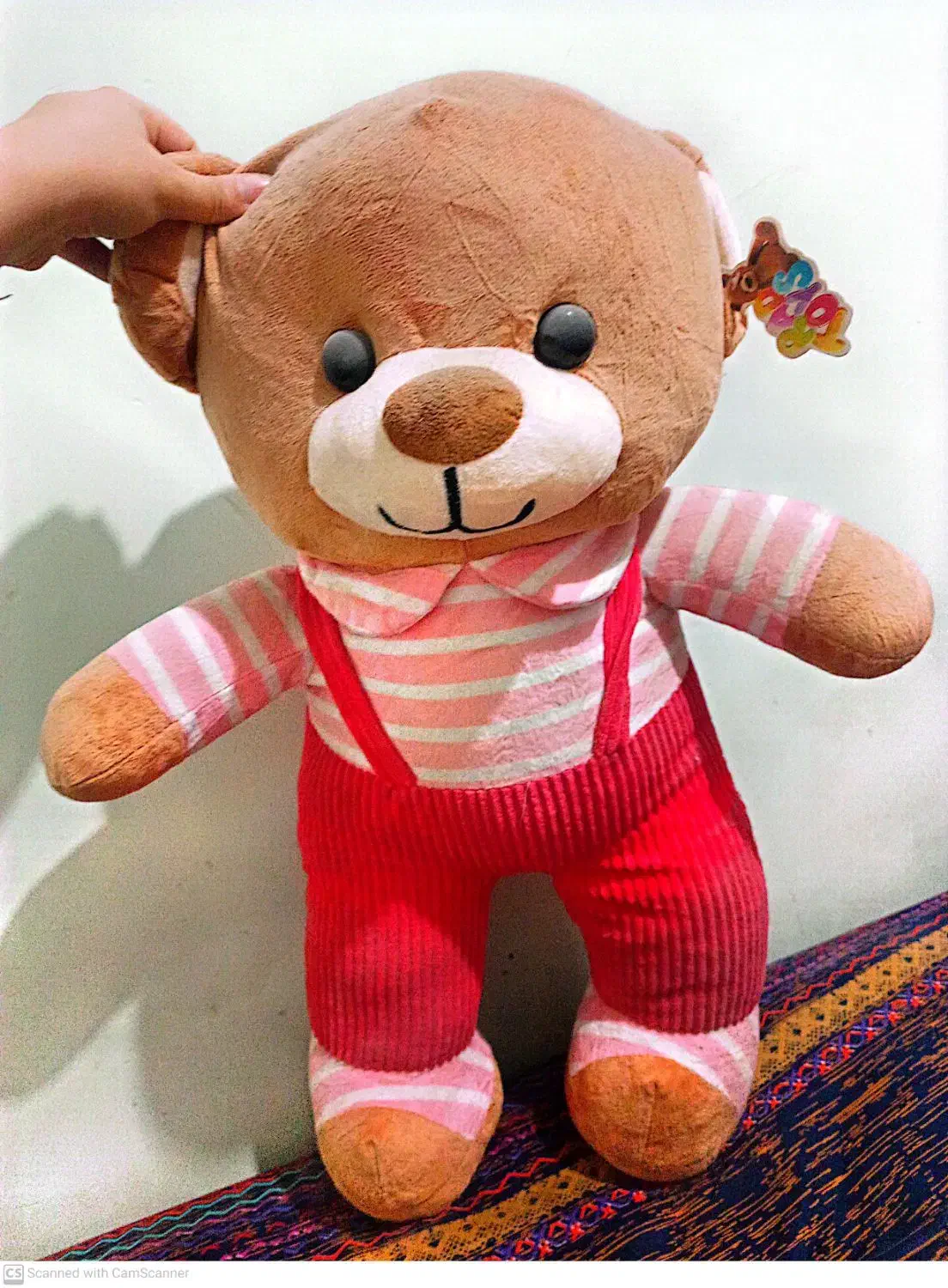 خرس|کلکسیون و سرگرمی|فولادشهر, فولادشهر|دیوار