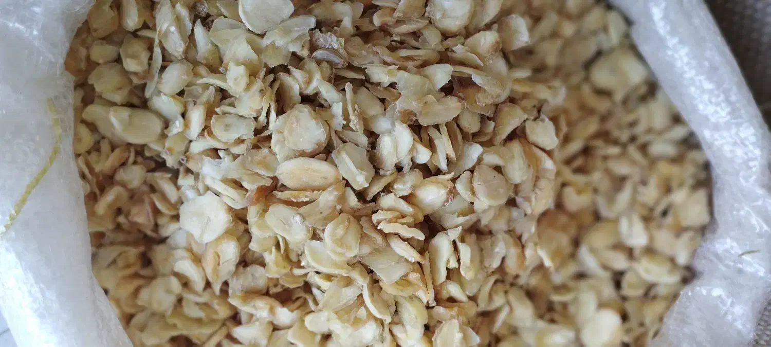 اسلایس سیر همدان|خوردنی و آشامیدنی|تهران, مولوی|دیوار