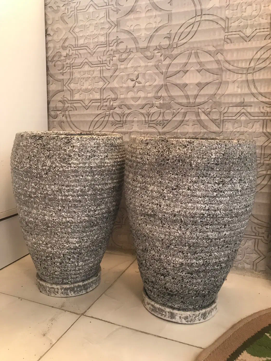 گلدان سفالی|گل و گیاه طبیعی|رشت, معلولین|دیوار