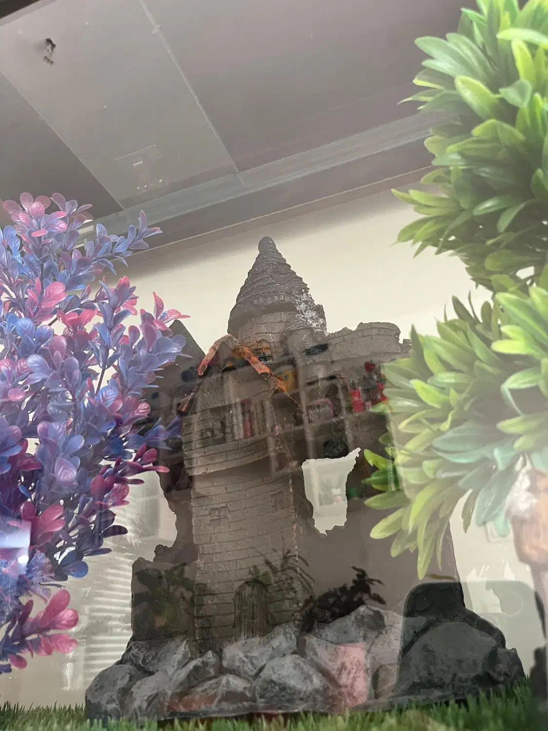 آکواریوم|ماهی|تهران, شهرک امیرالمومنین|دیوار