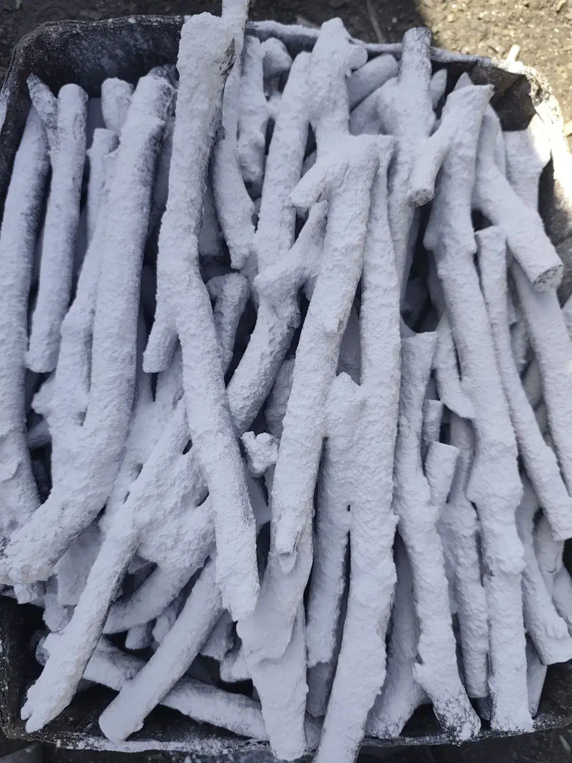 زغال لیمو قلم شاخه سفید نانو و مشکی یک دست|عمدهفروشی|تبریز, |دیوار