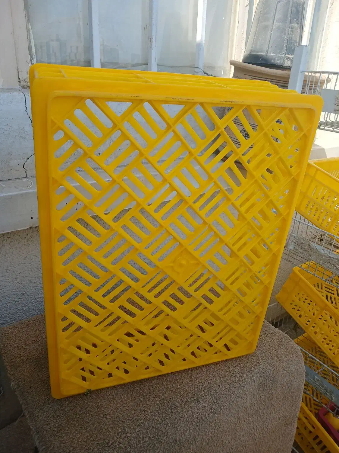 سبد بزرگ میوه|ظروف نگهدارنده، پلاستیکی، یک‌بارمصرف|مشهد, الهیه|دیوار