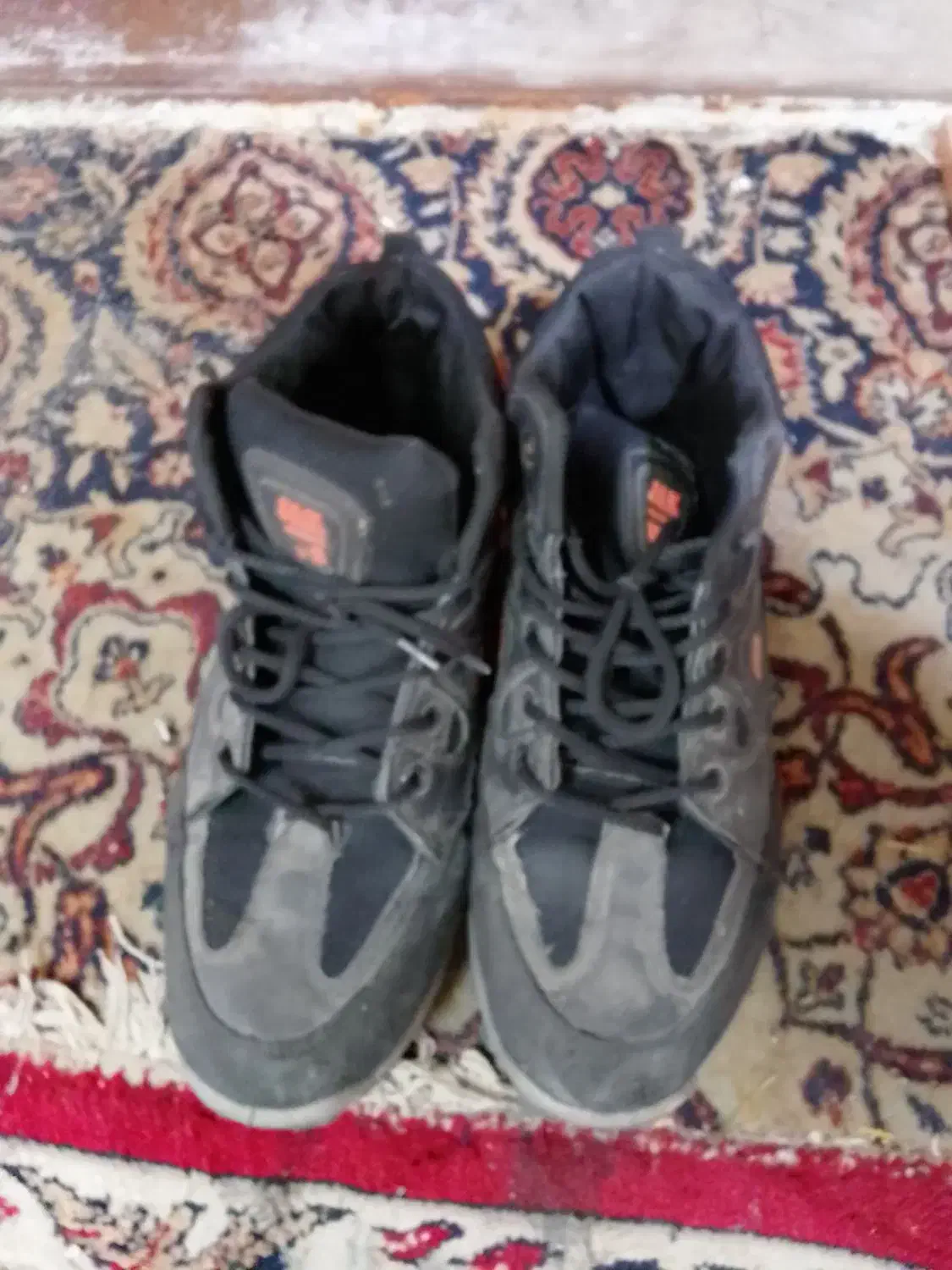 کفش|کیف، کفش، کمربند|مشهد, آبکوه|دیوار