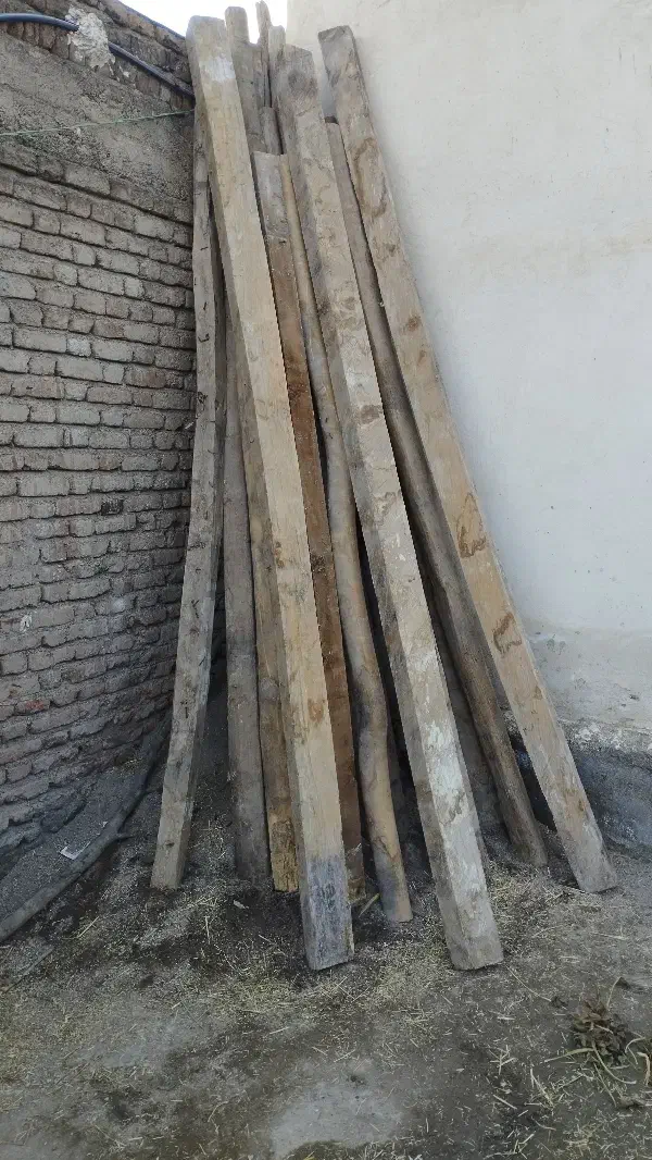 دام آغاجی|مصالح و تجهیزات ساختمان|سرعین, |دیوار