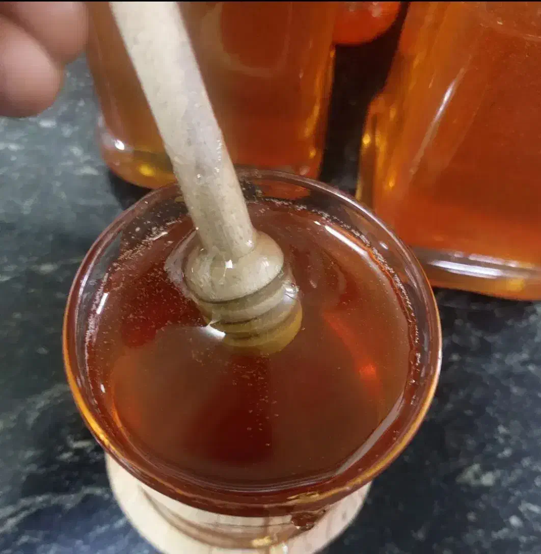 عسل طبیعی اعلا  به قیمت عمده|خوردنی و آشامیدنی|سهند, |دیوار