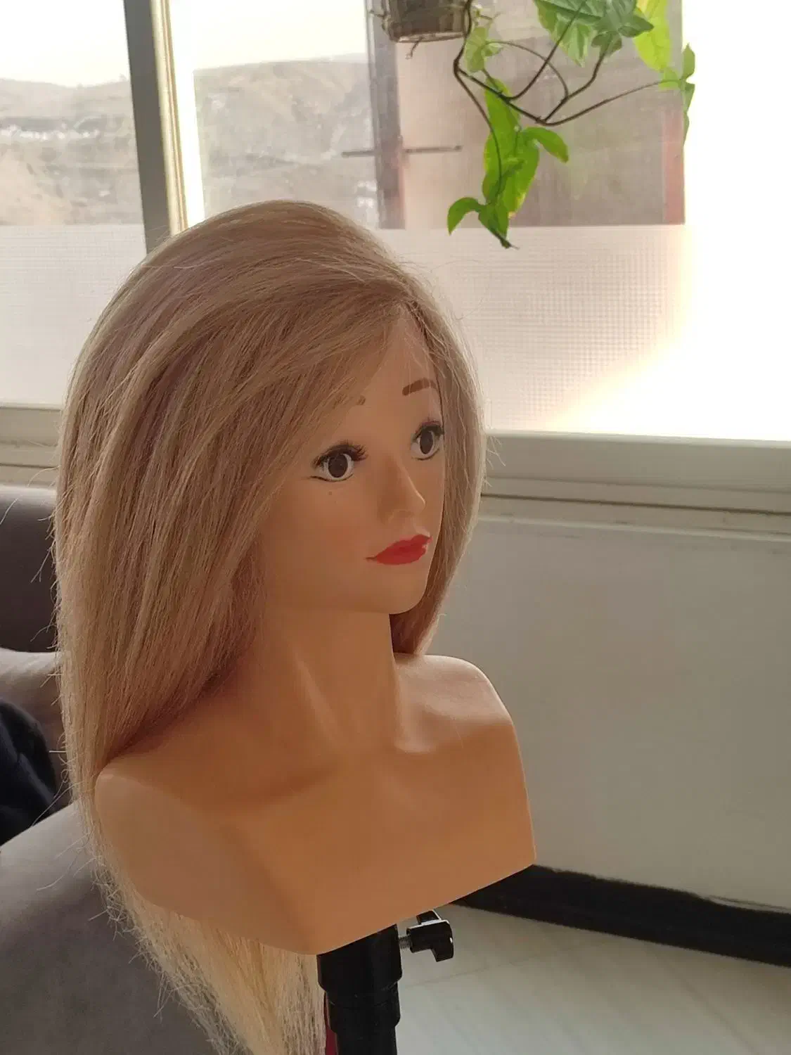 فروش کله مانکن با موی کاملا طبیعی|آرایشی، بهداشتی، درمانی|شاندیز, |دیوار