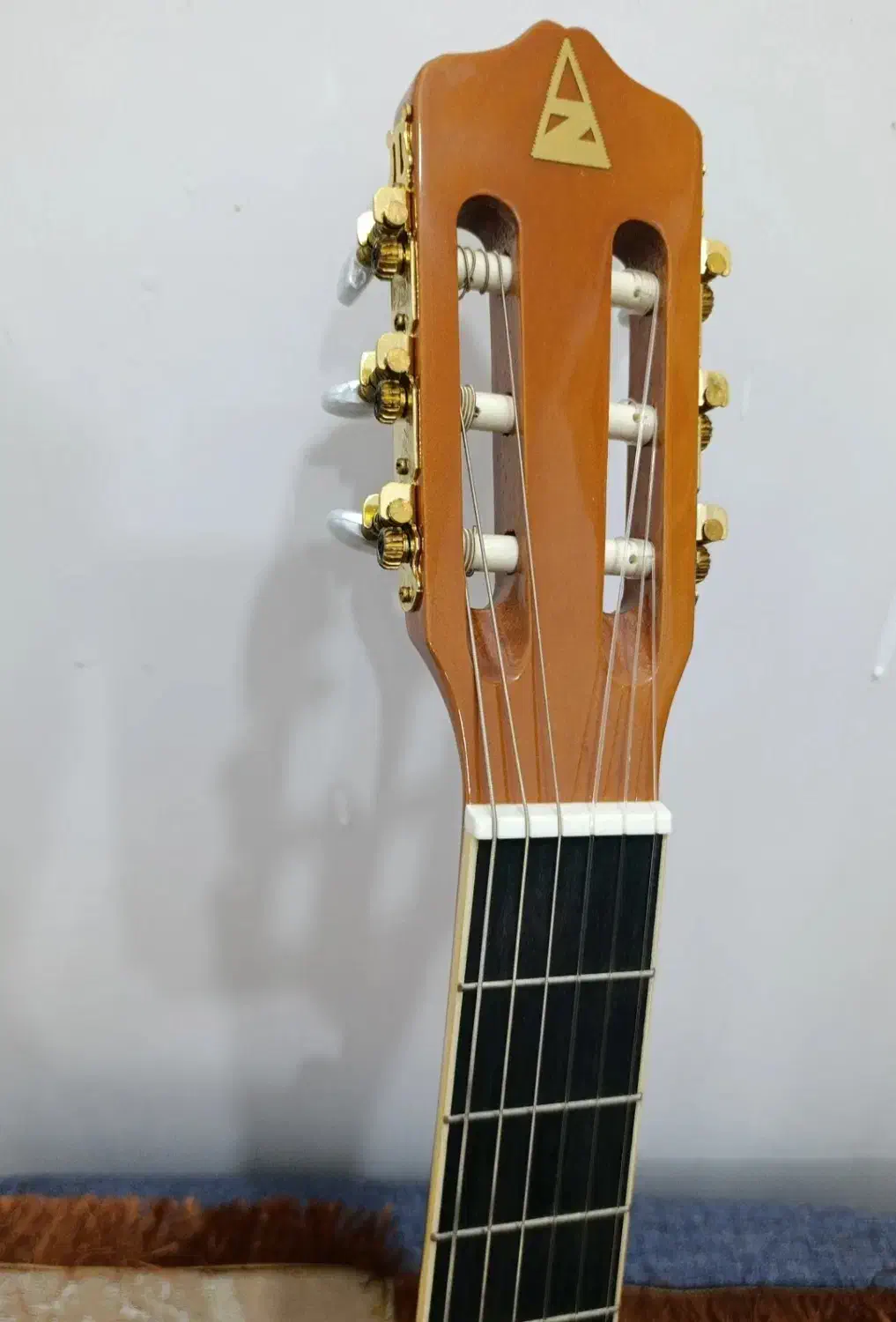 گیتار|گیتار، بیس، امپلیفایر|قشم, |دیوار