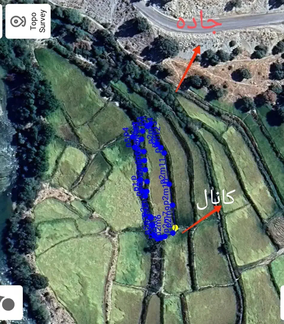 زمین برنجکاری|فروش دفتر صنعتی، کشاورزی، تجاری|چیتاب, |دیوار