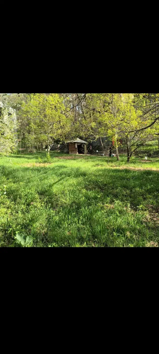 زمین طالقان|فروش زمین و ملک کلنگی|طالقان, |دیوار