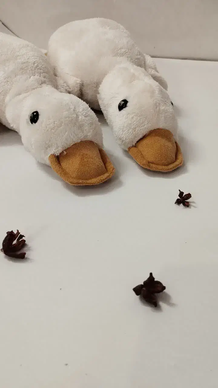 غاز|اسباببازی|تربتحیدریه, طالقانی|دیوار