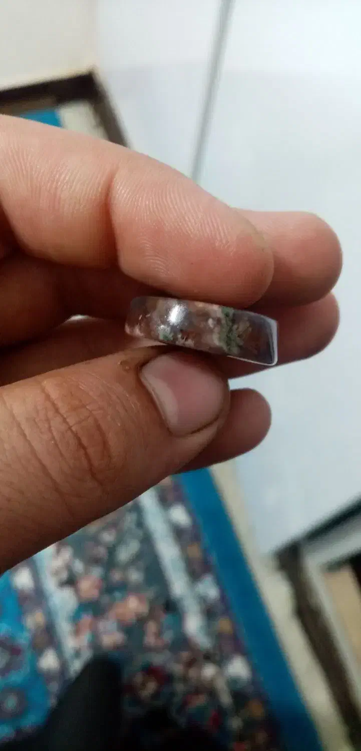 شجر دریای گل عناری|کلکسیون و سرگرمی|اهواز, پردیس|دیوار