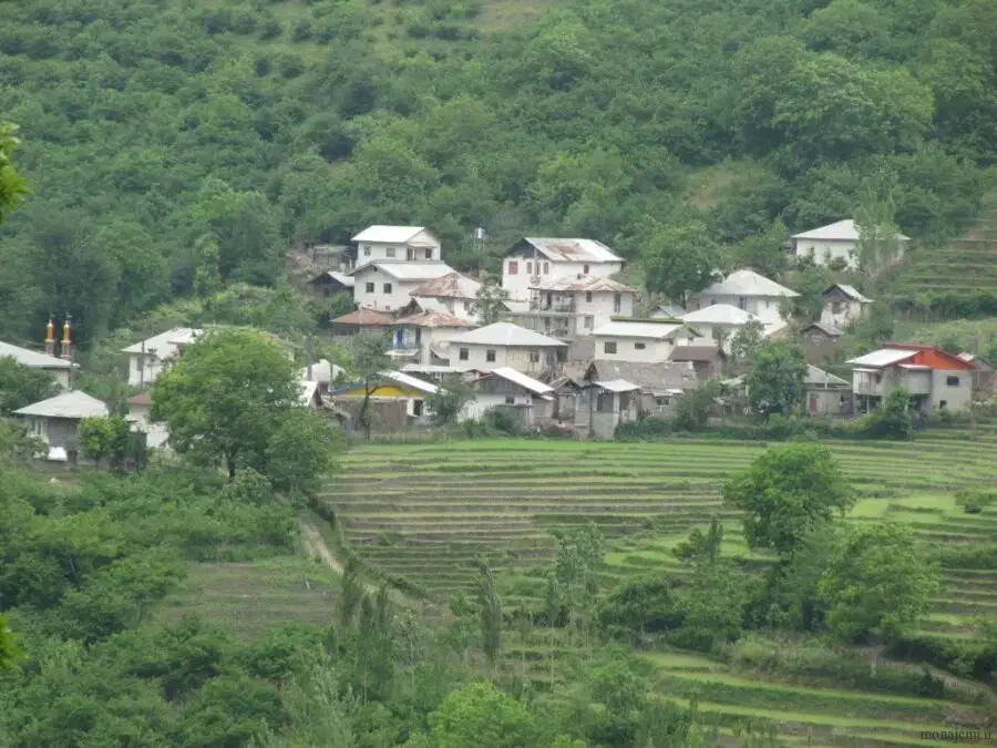 باغ شهری آب پرده|فروش زمین و ملک کلنگی|شیراز, کودیان|دیوار