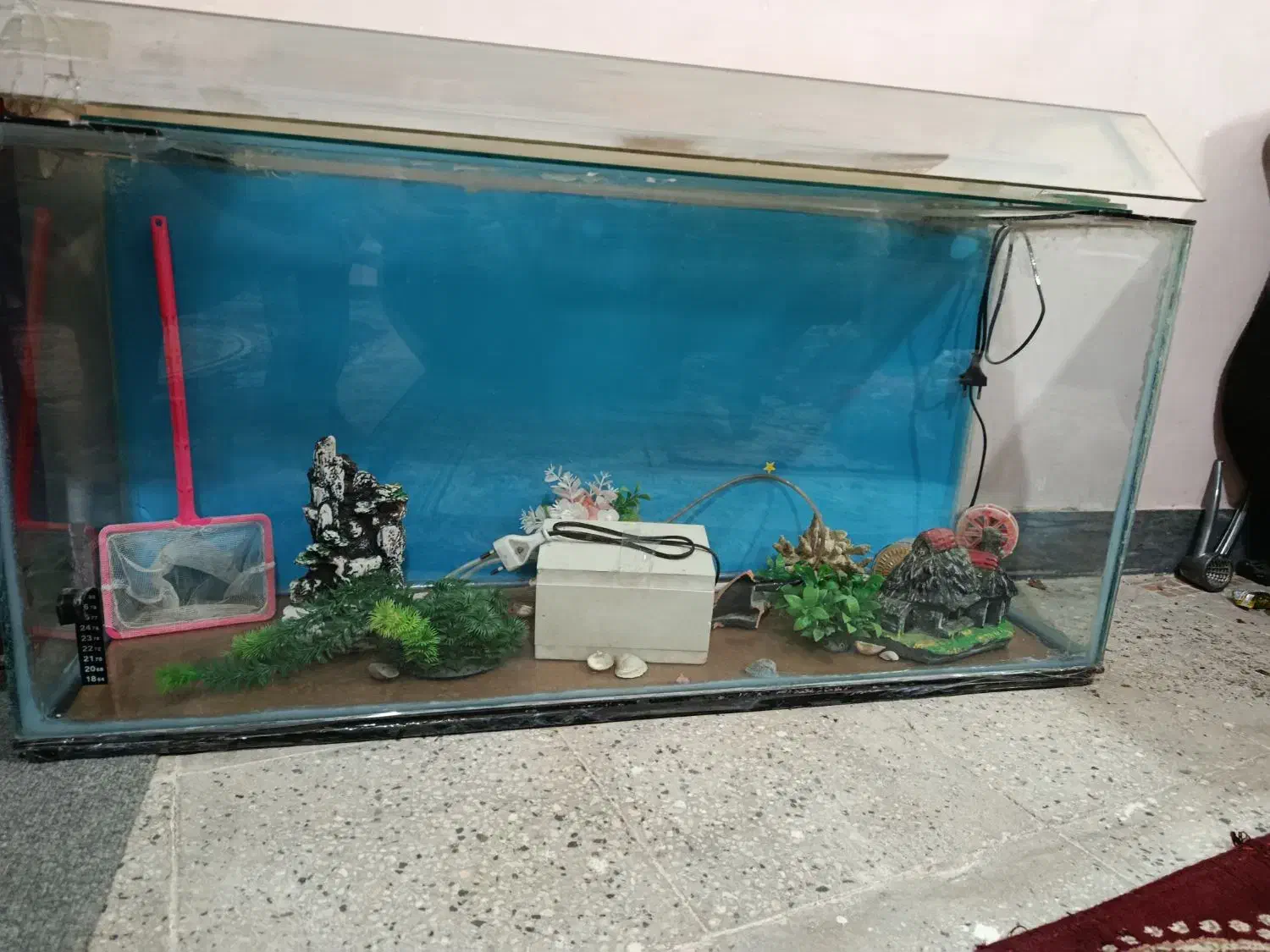 اکواریوم|ماهی|بروجرد, |دیوار