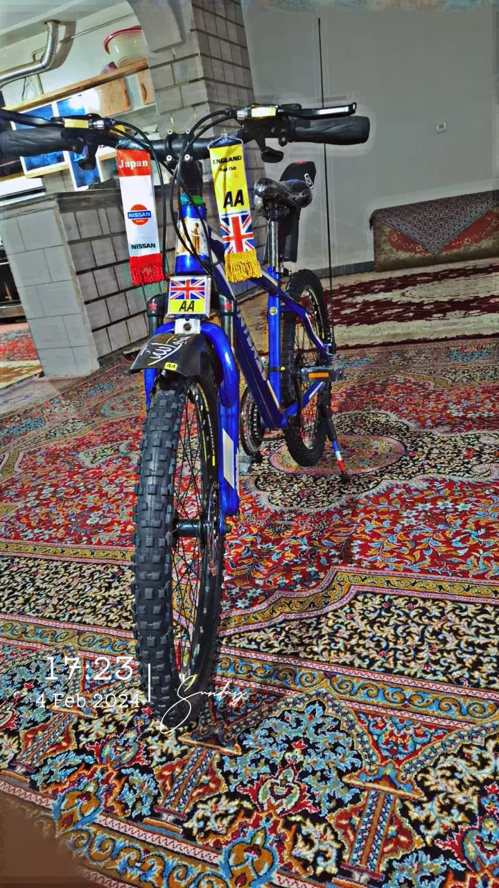 دوچرخه 24 اینتنز|دوچرخه، اسکیت، اسکوتر|ایوان, |دیوار