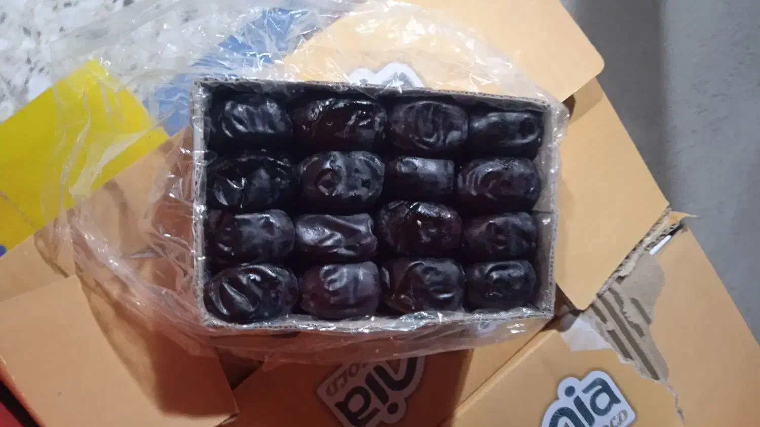 خرما درجه یک|عمده‌فروشی|بم, |دیوار