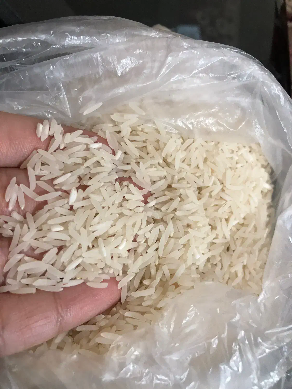 برنج فجر|خوردنی و آشامیدنی|خان ببین, |دیوار