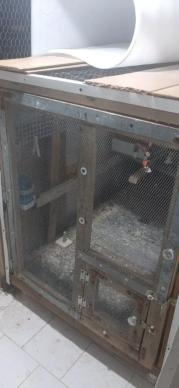 قفس بزرگ حیوانات و پرندگان خانگی|لوازم جانبی حیوانات|گرگان, |دیوار