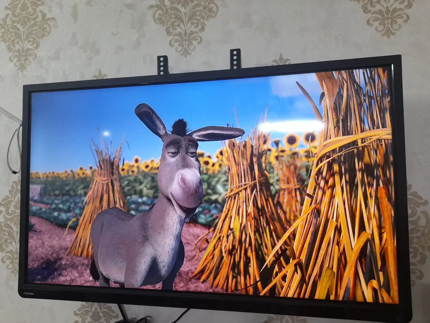 تلویزیون|تلویزیون و پروژکتور|مشهد, تربیت (صدف)|دیوار