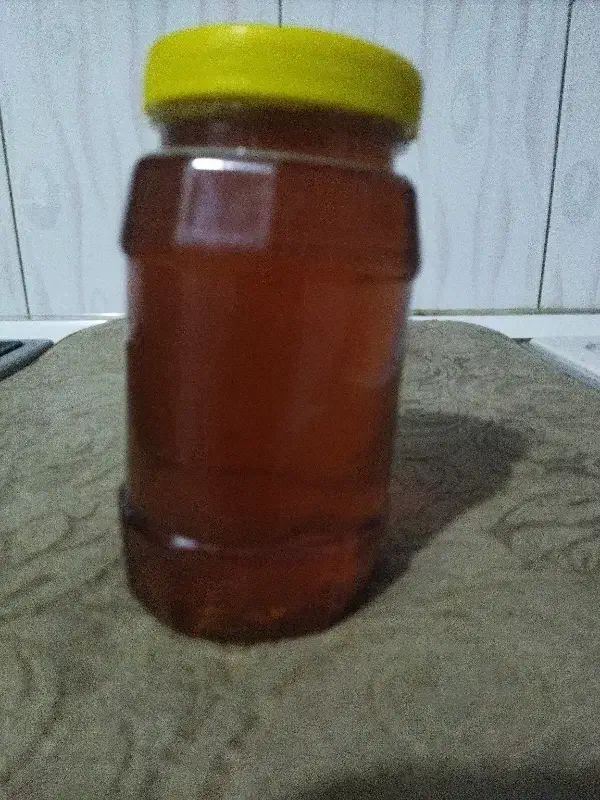 عسل|عمده‌فروشی|آبدانان, |دیوار