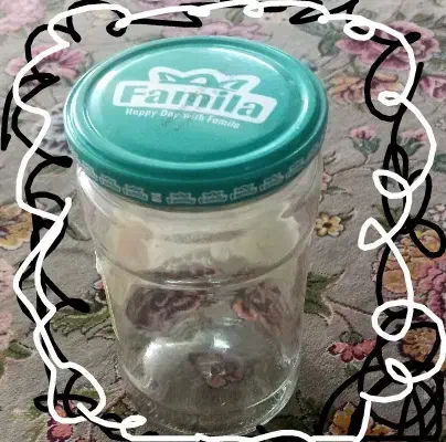 شیشه خالی|ظروف نگهدارنده، پلاستیکی، یک‌بارمصرف|بیرجند, |دیوار