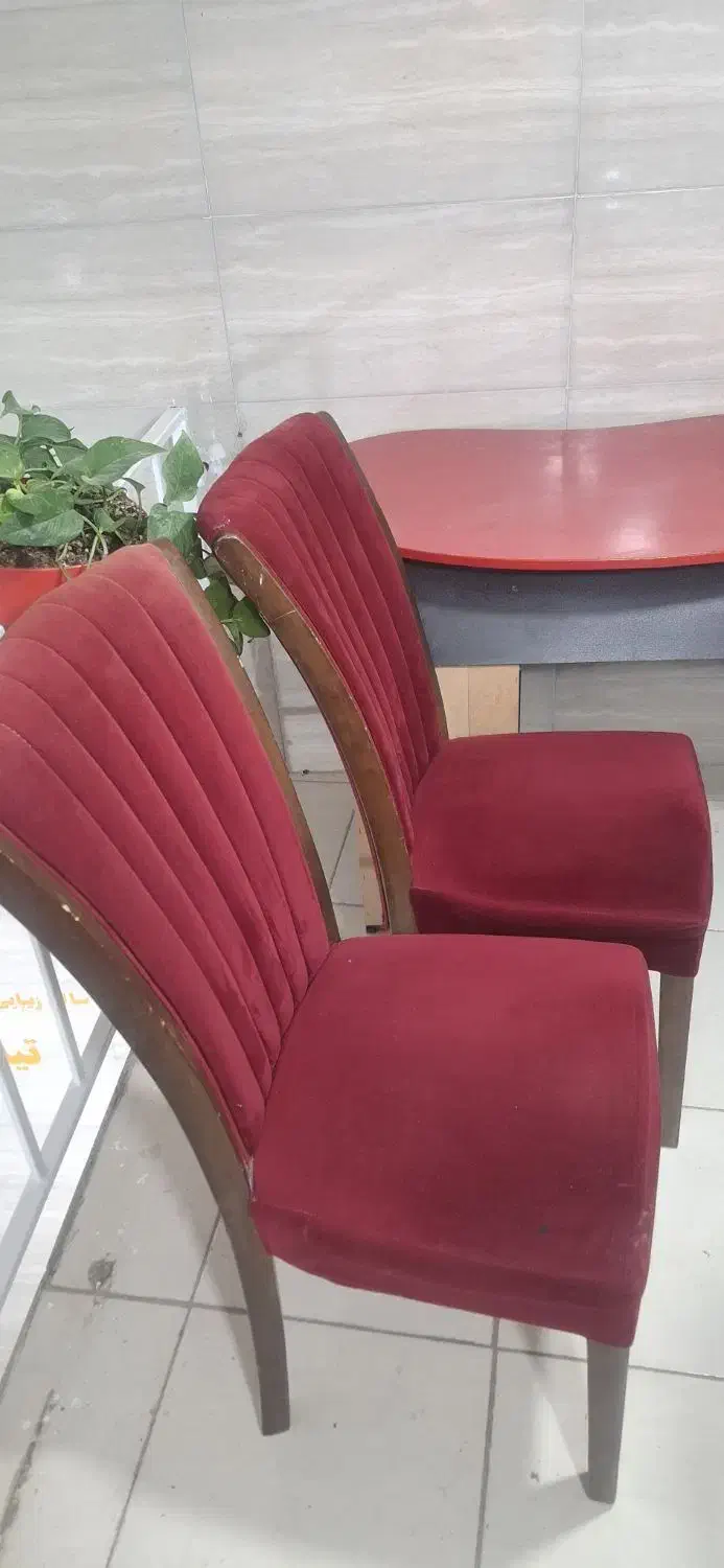 میز و صندلی ناخن|آرایشگاه و سالن‌های زیبایی|صدرا-فارس, فاز ۲|دیوار